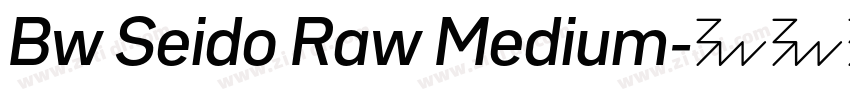 Bw Seido Raw Medium字体转换